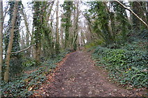 SX9056 : South West Coast path, Marridge Wood by N Chadwick