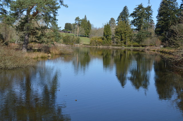 Lake, Bedgebury Pinetum © N Chadwick :: Geograph Britain and Ireland