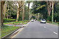 The Avenue, Branksome Park, Poole