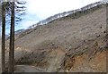 Felled woodland near Glaspwll