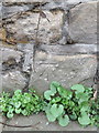 Bench mark in Arrowe Park Road, opposite Landican Cemetery