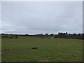 Looking south from Kilmory Kirk