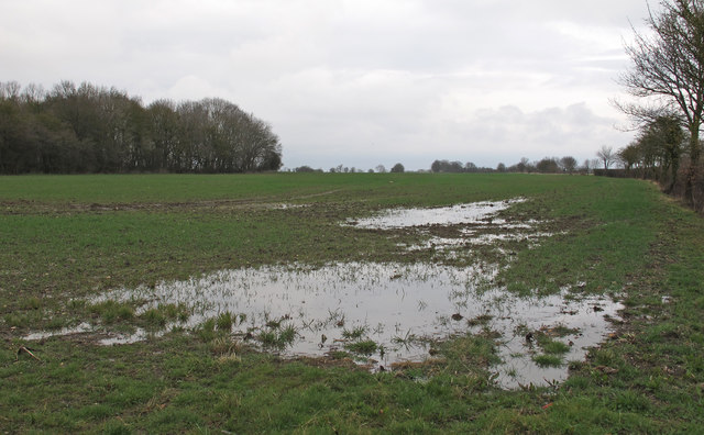 Field after heavy rain, Hedenham