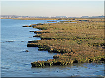 TQ8772 : The northern edge of Chetney Marshes by Mike Quinn