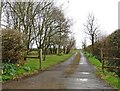 ST5627 : Driveway, Bowers Farm by Roger Cornfoot