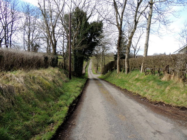 Woodbank Road © Kenneth Allen :: Geograph Ireland