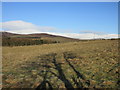 Field near Bonharry