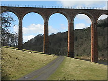 NT5734 : Pasture and track under the Leaderfoot Viaduct by M J Richardson