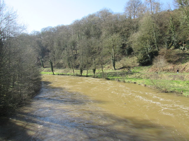 The River Teme (Ludlow)