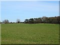 SK1844 : Tumuli in a field off Wyaston Road by Ian Calderwood
