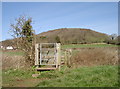 Footbridge over the Middle Yeo