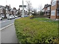 Hedge on Uxbridge Road, Rickmansworth