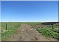 Farm track and a low horizon