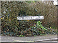 Copperwheat Avenue sign