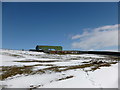 Sheepfold and shed at Blairhill