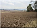 Field at Kinpurney