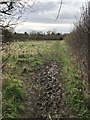 Mud on the Frome Valley Walkway