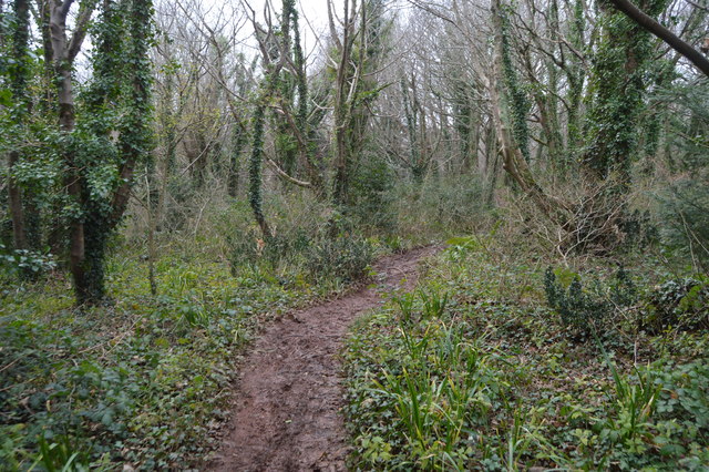 Footpath, The Grove © N Chadwick cc-by-sa/2.0 :: Geograph Britain and ...