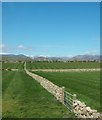 Stone wall enclosed fields north of Newcastle Road