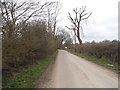 Unnamed road in Epping Green