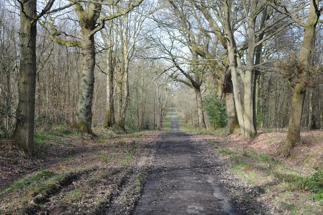 Uffmoor Wood, Bromsgrove - area information, map, walks and more