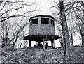 Old Watchtower in Ten Acre Wood