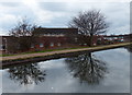 Tame Valley Canal at Hamstead