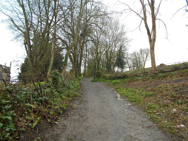 Footpath to Brent Knoll