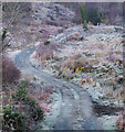 C0730 : Road near Creeslough by Rossographer