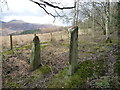 Disused gateposts, off Spoonygreen Lane