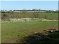 SK6804 : Medieval motte and deserted village, Ingarsby by Alan Murray-Rust