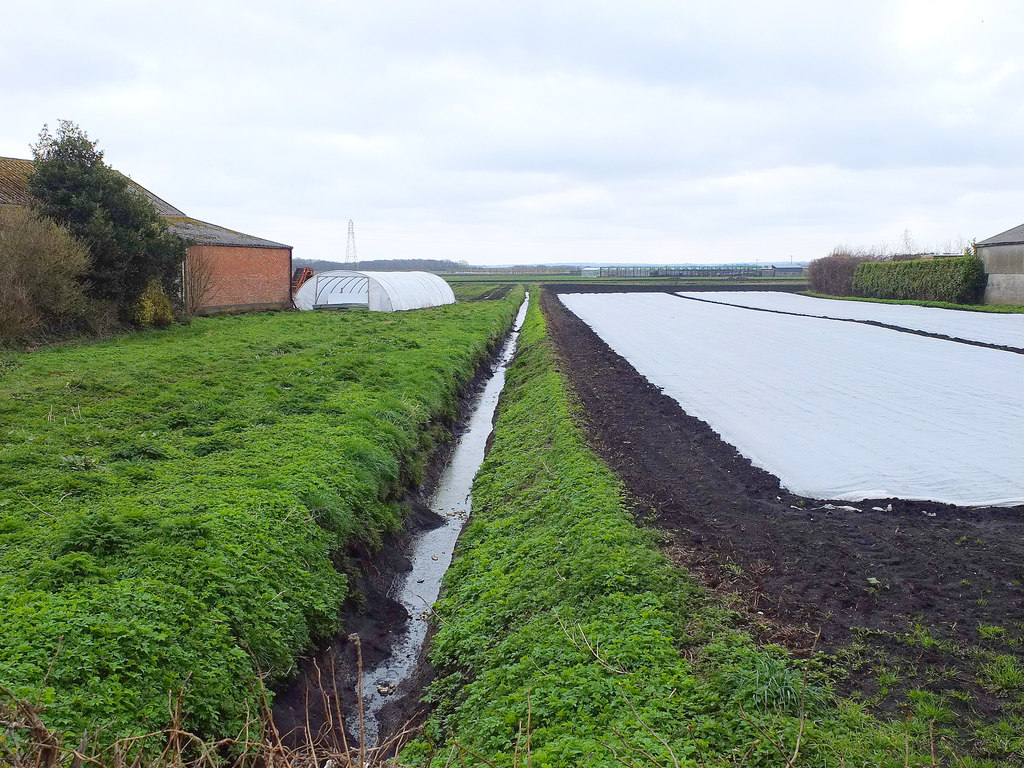 Drainage ditch between Gravel Farm and... © Gary Rogers :: Geograph