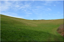 SX9370 : Steep field by South West Coast Path by N Chadwick