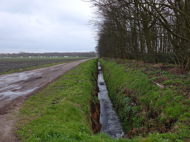 Drainage ditch at Six Fields Covert © Gary Rogers :: Geograph Britain ...