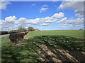 Wheatfield and Pockthorpe Cottages