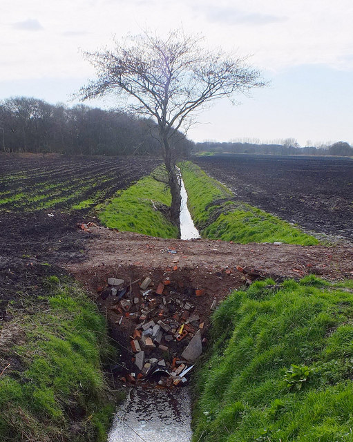 Field drain at Sutton's Covert