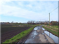 SD3819 : New Lane near Moss Side Farm by Gary Rogers