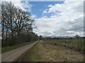 Wide verge on the road to Woodside