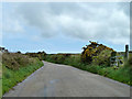 Road up to and over Treen Common