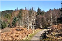 NN0363 : Footpath to Gleann Righ Waterfall by Robert Struthers