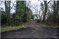 New Forest : Farm Track