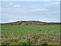 Zennor Hill