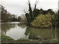 Lake in Pittville Park