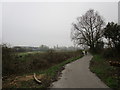 Cycle path to Bracebridge