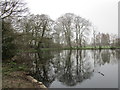 The east end of The Lake, Boultham Park