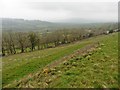 Hillside above Broadacres Farm