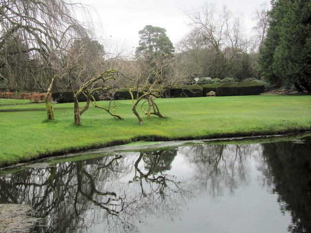 Crooked Trees by the Reflecting Pond at Bovey Castle