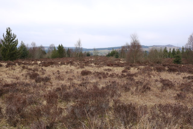 Moss Raploch © Billy McCrorie cc-by-sa/2.0 :: Geograph Britain and Ireland