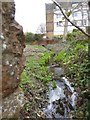 Stream in grounds of Exeter Nuffield Hospital