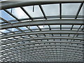 SN5218 : The Great Glasshouse roof by M J Richardson